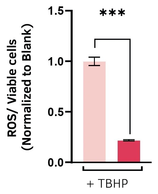 Bar chart of ROS in viable cells, blank digestion vs MethoxyMemory