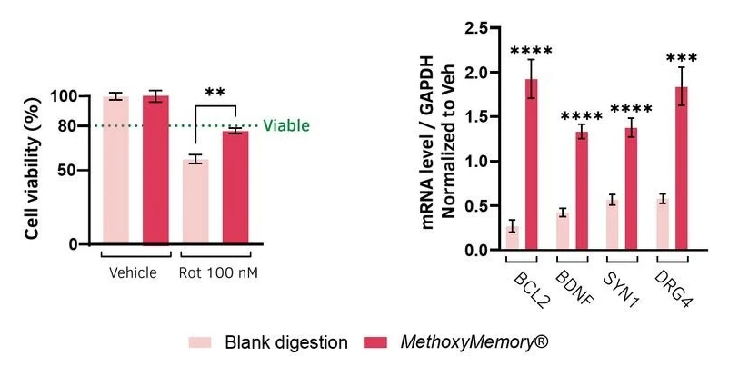 Bar chart of cell viability, blank digestion vs MethoxyMemory