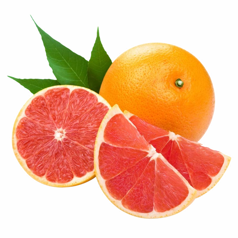 Fresh grapefruit and slices — the citrus source of MethoxyMemory